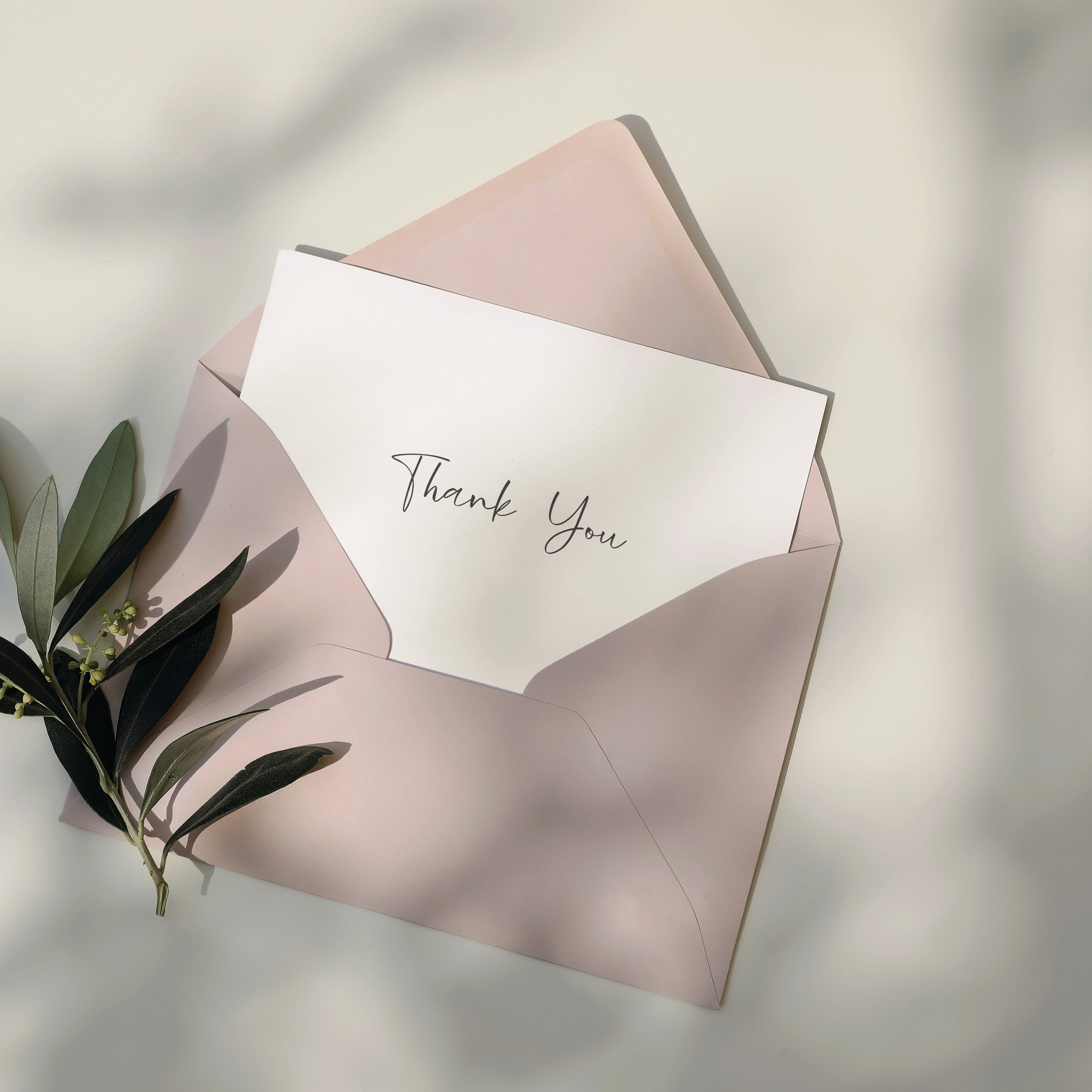 Thank You Cards